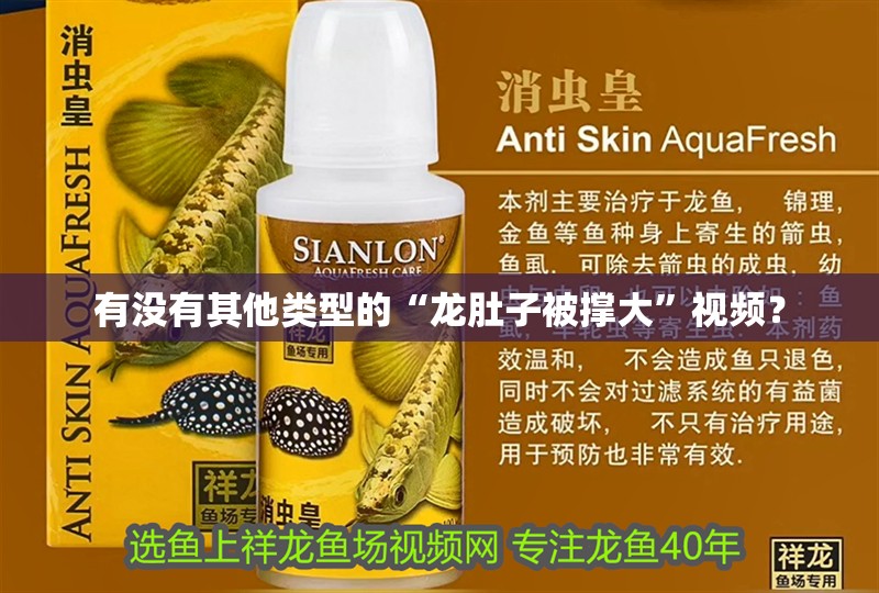 有沒有其他類型的“龍肚子被撐大”視頻？