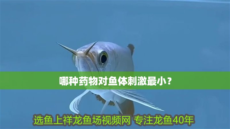 哪種藥物對魚體刺激最小？