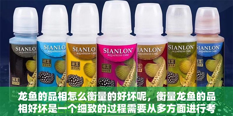 龍魚(yú)的品相怎么衡量的好壞呢，衡量龍魚(yú)的品相好壞是一個(gè)細(xì)致的過(guò)程需要從多方面進(jìn)行考量
