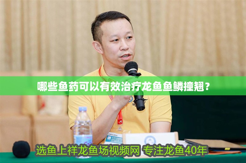 哪些魚藥可以有效治療龍魚魚鱗撞翹？