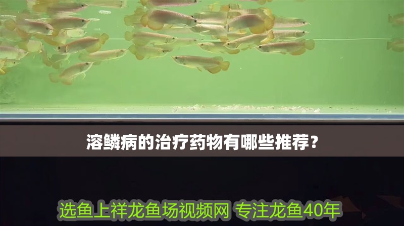 溶鱗病的治療藥物有哪些推薦？