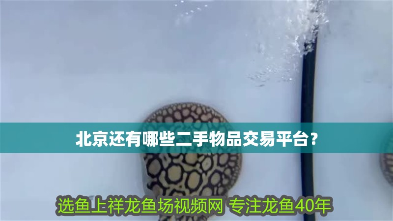 <strong><mark>北京</mark></strong>還有哪些二手物品交易平臺？