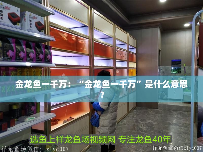 金龍魚一千萬：“金龍魚一千萬”是什么意思？ 金龍魚一千萬：“金龍魚一千萬”是什么意思？ 龍魚百科 第2張