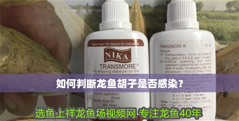 如何判斷龍魚胡子是否感染？