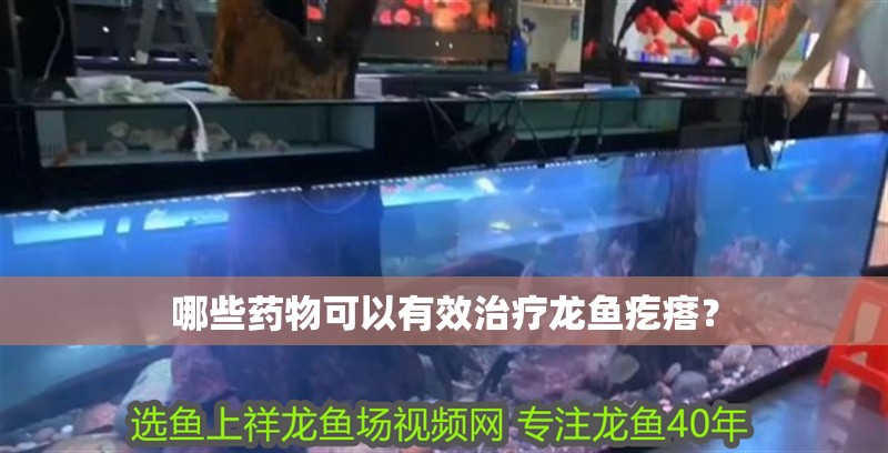 哪些藥物可以有效治療龍魚疙瘩？