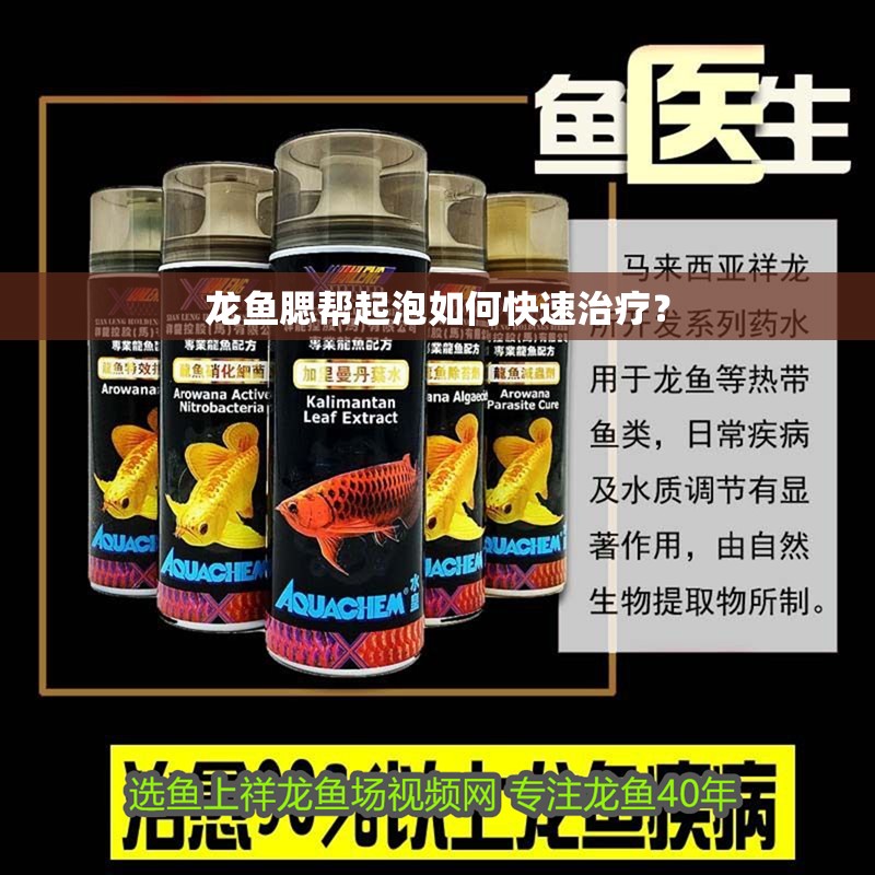 龍魚腮幫起泡如何快速治療？