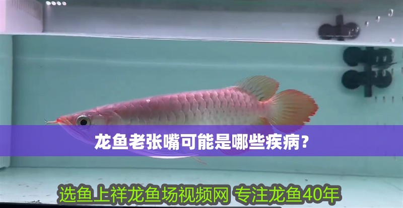 龍魚老張嘴可能是哪些疾病？