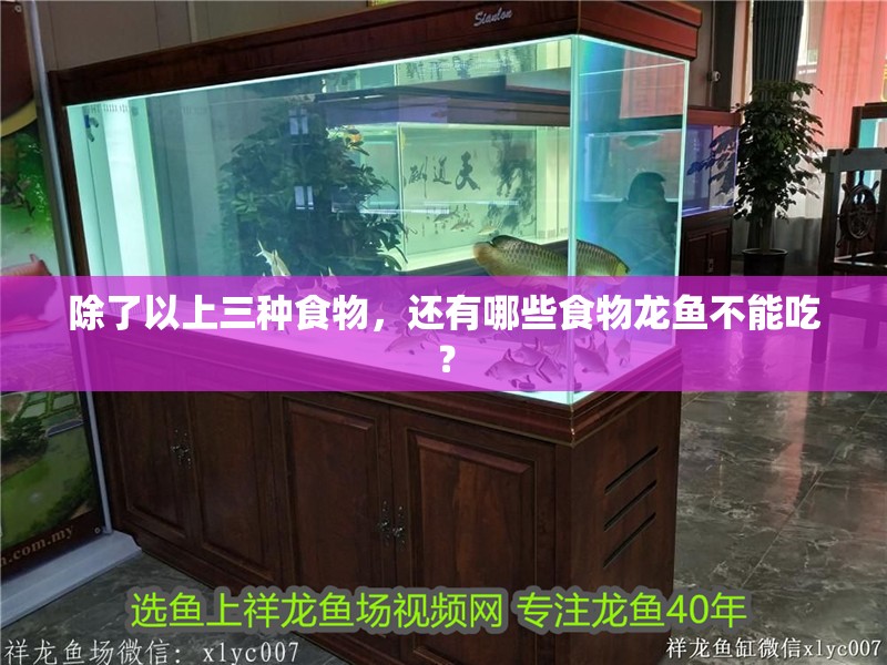 除了以上三種食物，還有哪些食物龍魚不能吃？