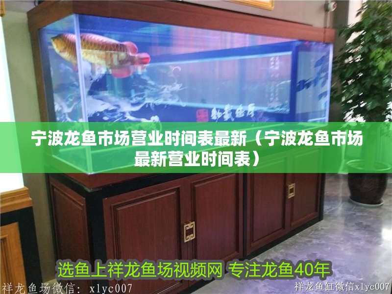 寧波龍魚市場營業時間表最新（寧波龍魚市場最新營業時間表）