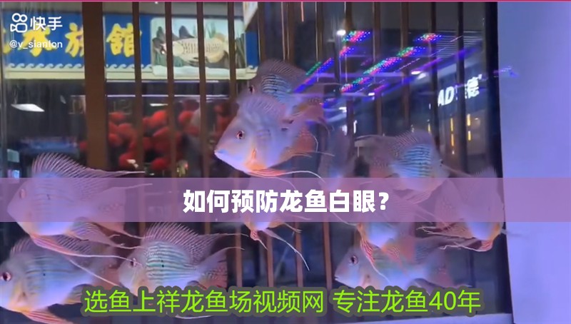 如何預(yù)防龍魚白眼？