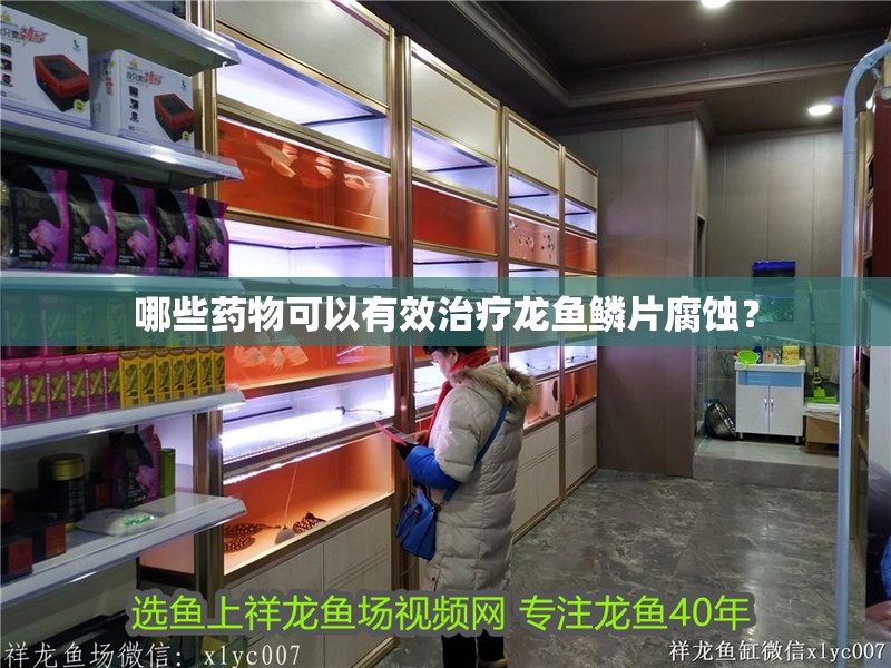 哪些藥物可以有效治療龍魚鱗片腐蝕？