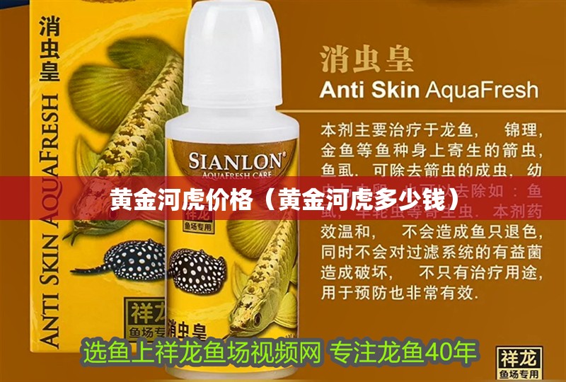 黃金河虎價格（黃金河虎多少錢）