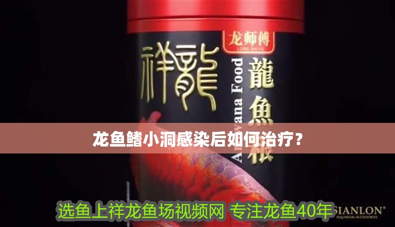 龍魚鰭小洞感染后如何治療？