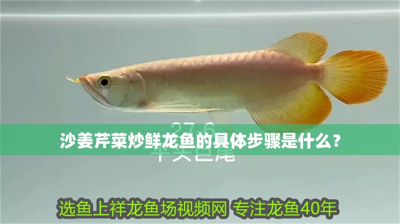 沙姜芹菜炒鮮龍魚的具體步驟是什么？