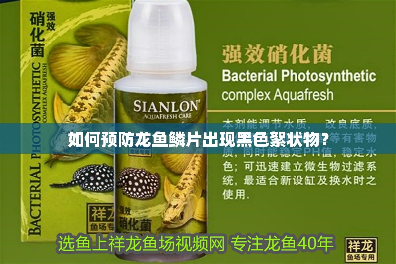 如何預防龍魚鱗片出現黑色絮狀物？
