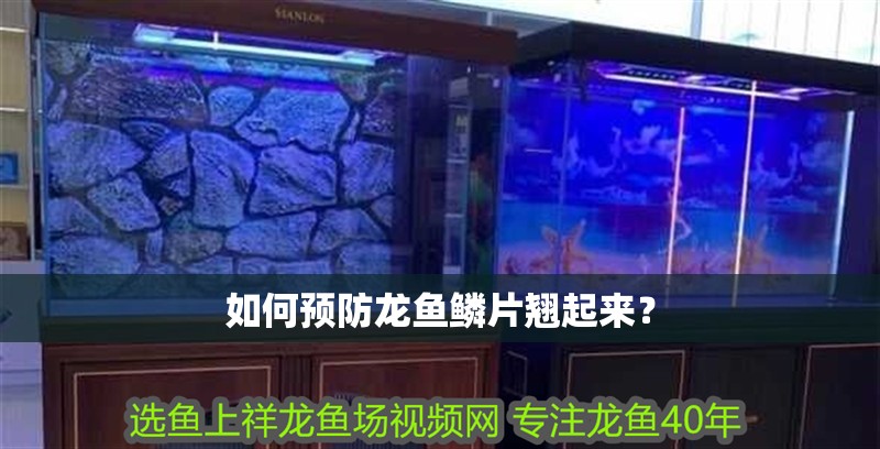 如何預防龍魚鱗片翹起來？