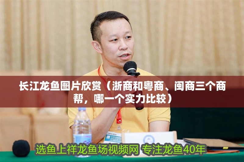 長江龍魚圖片欣賞（浙商和粵商、閩商三個商幫，哪一個實力比較）