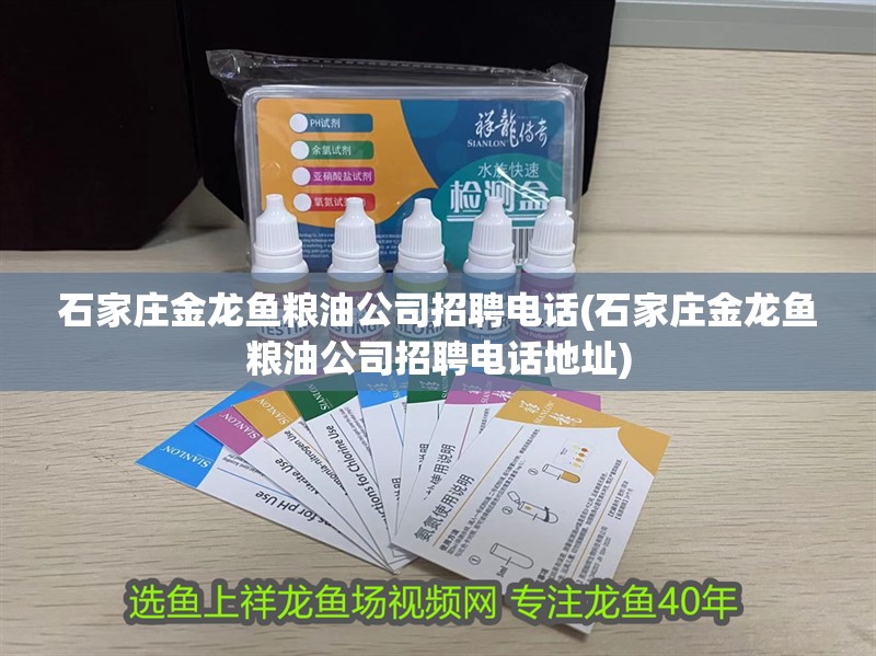 石家莊金龍魚糧油公司招聘電話(石家莊金龍魚糧油公司招聘電話地址)