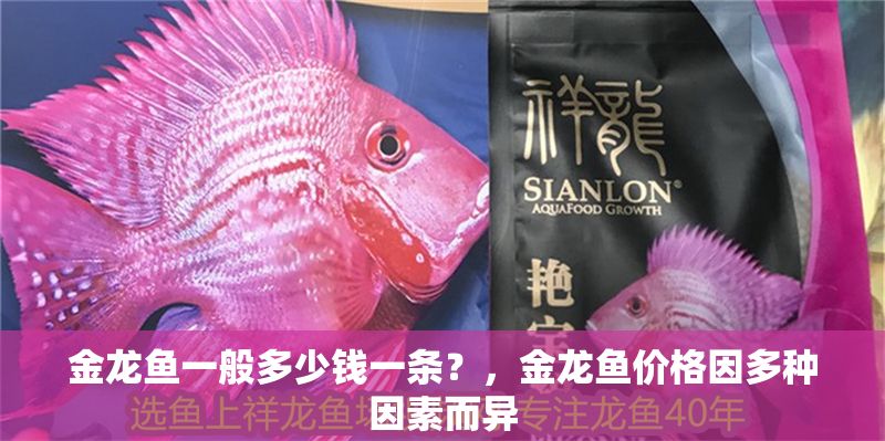 金龍魚一般多少錢一條？，金龍魚價格因多種因素而異