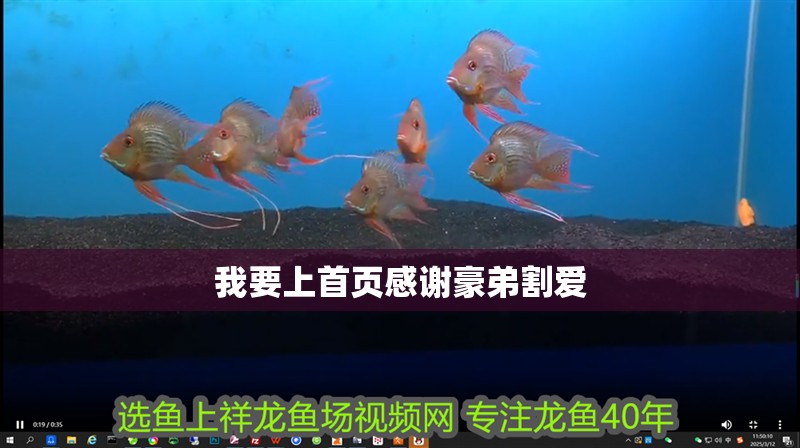 我要上首頁感謝豪弟割愛