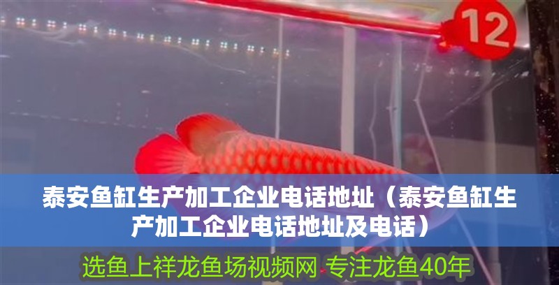 <strong><mark>泰安</mark></strong>魚缸生產加工企業電話地址（<strong><mark>泰安</mark></strong>魚缸生產加工企業電話地址及電話）