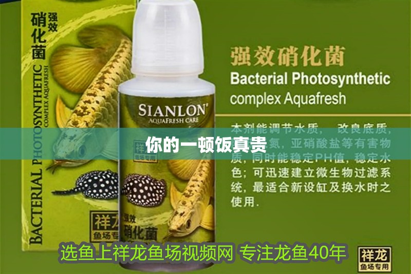 你的一頓飯真貴