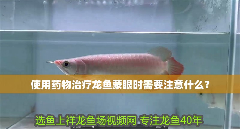 使用藥物治療龍魚蒙眼時(shí)需要注意什么？