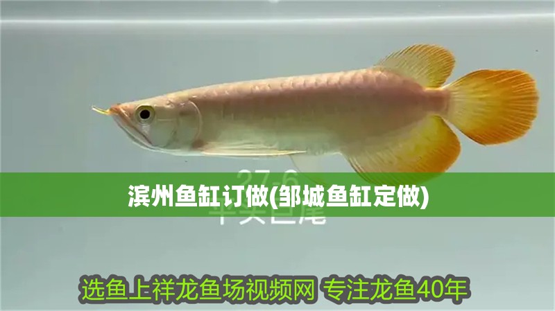 濱州魚缸訂做(鄒城魚缸定做)