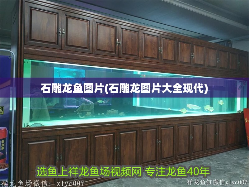 石雕龍魚圖片(石雕龍圖片大全現代)