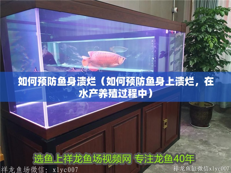 如何預防魚身潰爛（如何預防魚身上潰爛，在水產養殖過程中）