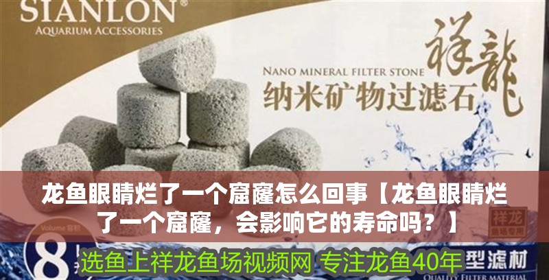龍魚眼睛爛了一個窟窿怎么回事【龍魚眼睛爛了一個窟窿，會影響它的壽命嗎？】