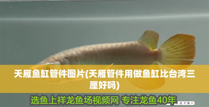天雁魚缸管件圖片(天雁管件用做魚缸比臺(tái)灣三厘好嗎)