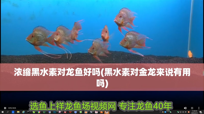 魚缸用增氧泵價格是多少:魚缸增氧機-xtrac增氧機-xtrac增氧機 濃縮黑水素對龍魚好嗎(黑水素對金龍來說有用嗎) 觀賞魚百科 濃縮黑水素對龍魚好嗎(黑水素對金龍來說有用嗎) 濃縮黑水素對龍魚好嗎(黑水素對金龍來說有用嗎) 觀賞魚百科
