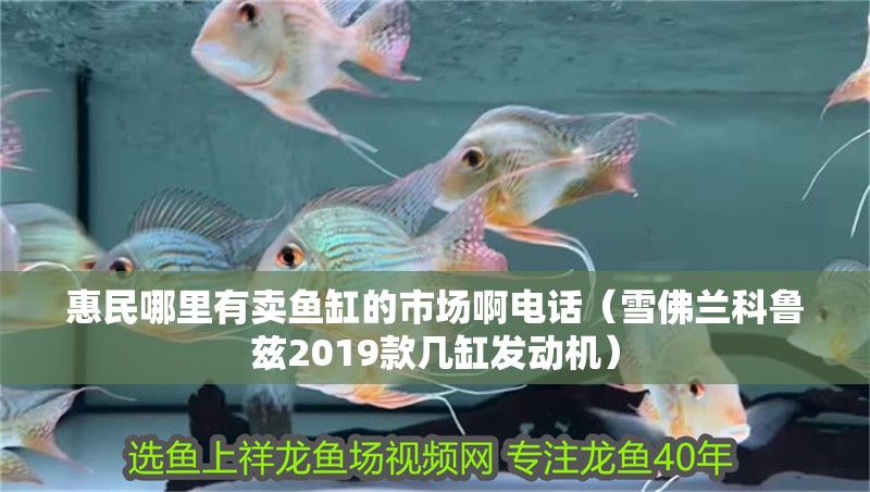 惠民哪里有賣魚缸的市場啊電話（雪佛蘭科魯茲2019款幾缸發(fā)動機）