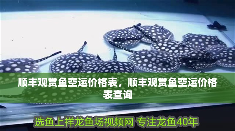 順豐觀賞魚空運價格表，順豐觀賞魚空運價格表查詢