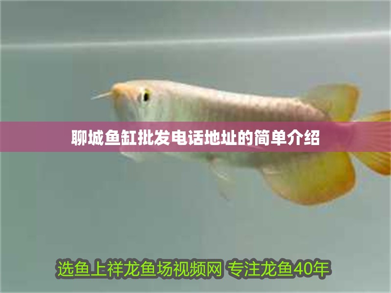 聊城魚缸批發電話地址的簡單介紹 聊城魚缸批發電話地址的簡單介紹 觀賞魚百科