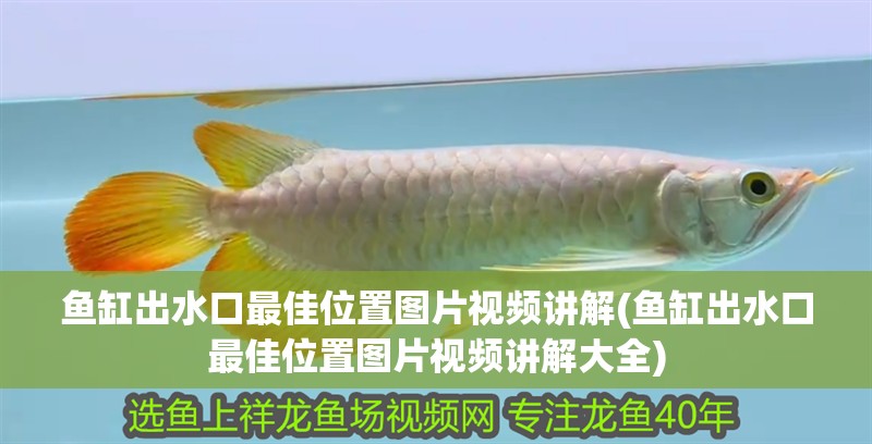 魚缸出水口最佳位置圖片視頻講解(魚缸出水口最佳位置圖片視頻講解大全)