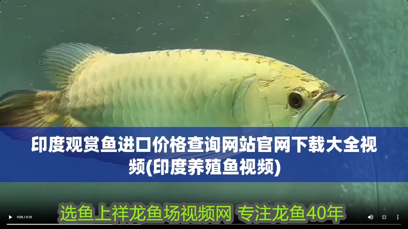 印度觀賞魚進口價格查詢網站官網下載大全視頻(印度養殖魚視頻)