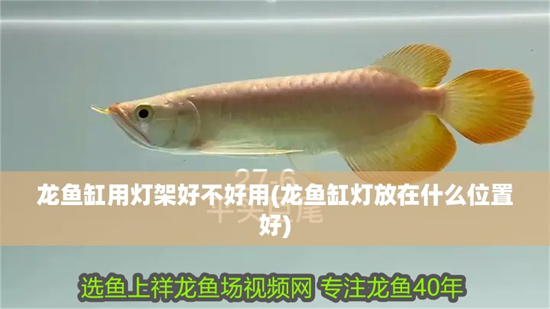 魚缸用增氧泵價格是多少:魚缸增氧機-xtrac增氧機-xtrac增氧機 龍魚缸用燈架好不好用(龍魚缸燈放在什么位置好) 觀賞魚百科 龍魚缸用燈架好不好用(龍魚缸燈放在什么位置好) 龍魚缸用燈架好不好用(龍魚缸燈放在什么位置好) 觀賞魚百科