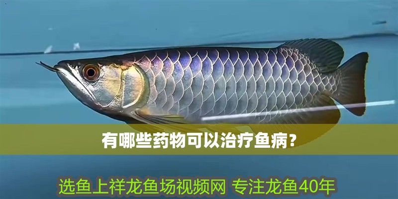有哪些藥物可以治療魚病？