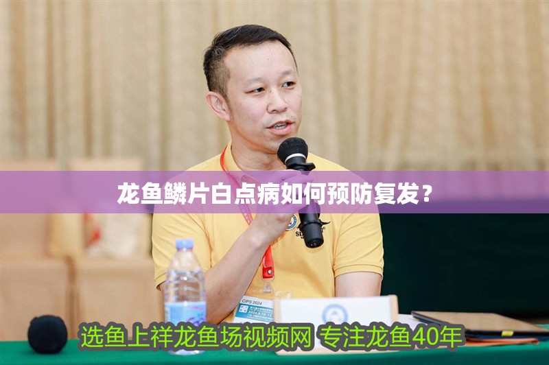 龍魚鱗片白點病如何預防復發？