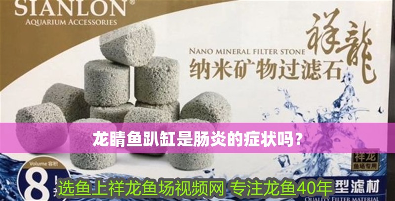 給大魚缸換水的作文:體驗給大魚缸換水的樂趣:體驗給大魚缸換水:給大魚缸換水的作文 龍睛魚趴缸是腸炎的癥狀嗎? 龍魚百科 龍睛魚趴缸是腸炎的癥狀嗎? 龍睛魚趴缸是腸炎的癥狀嗎? 龍魚百科