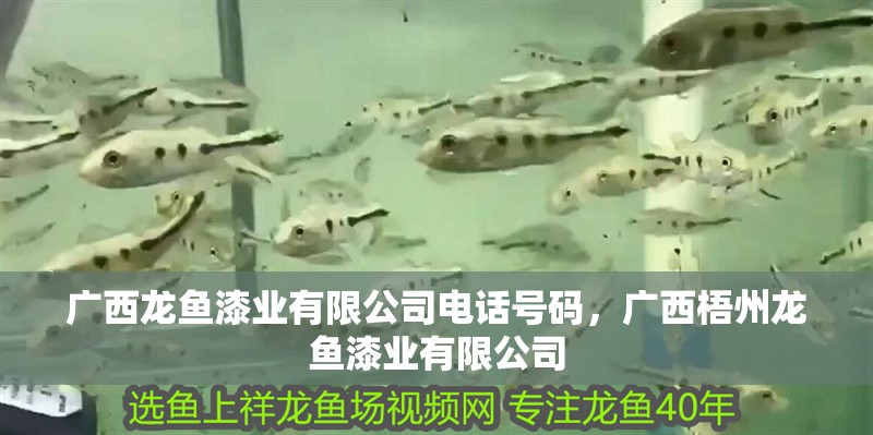 廣西龍魚漆業有限公司電話號碼，廣西<strong><mark>梧州</mark></strong>龍魚漆業有限公司