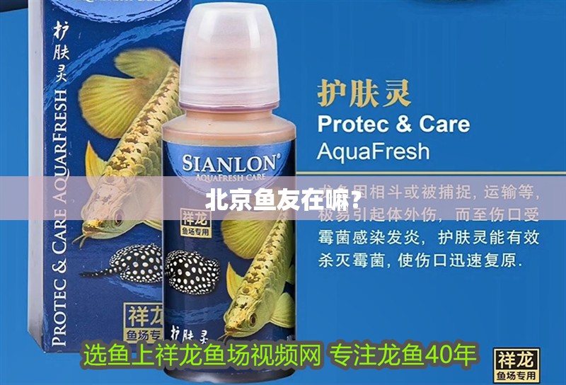 北京魚友在嘛？