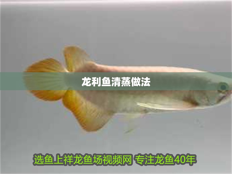 龍利魚清蒸做法