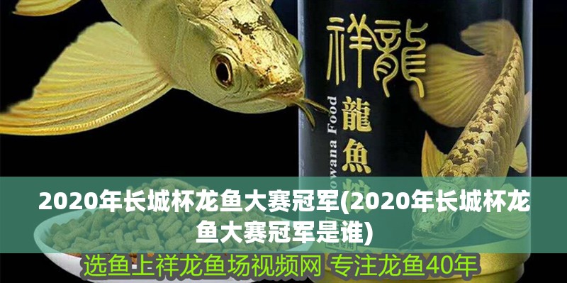 2020年長城杯龍魚大賽冠軍(2020年長城杯龍魚大賽冠軍是誰)
