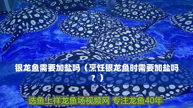 銀龍魚需要加鹽嗎（烹飪銀龍魚時需要加鹽嗎？）