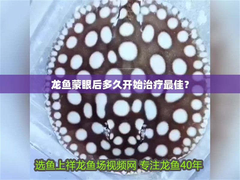 魚缸過濾器選購指南:自制魚缸過濾器魚缸上置過濾器對于養(yǎng)魚愛好者的必備知識 龍魚蒙眼后多久開始治療最佳? 龍魚百科 龍魚蒙眼后多久開始治療最佳? 龍魚蒙眼后多久開始治療最佳? 龍魚百科