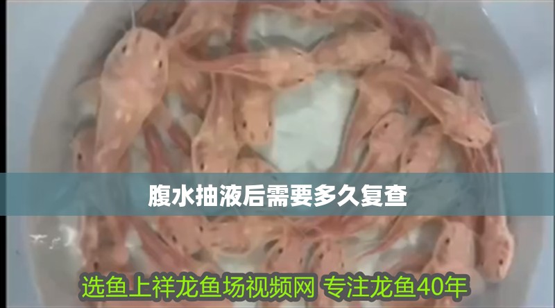 腹水抽液后需要多久復查