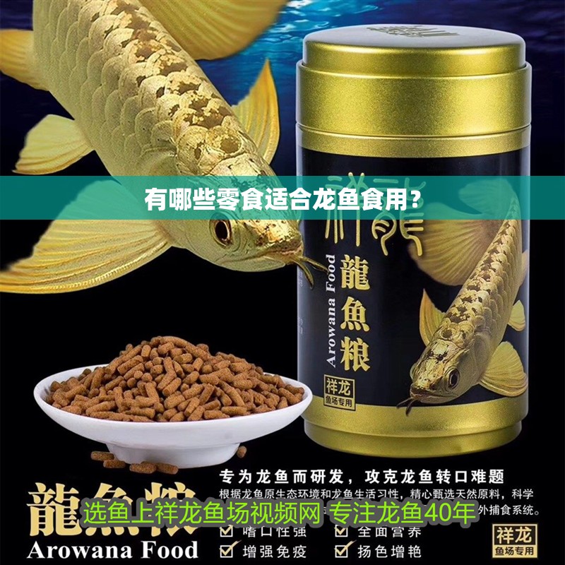 有哪些零食適合龍魚食用？